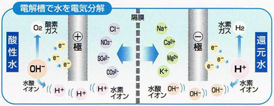 電解槽で水を電気分解（イメージ）