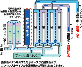 電解槽に4枚の電極板を搭載して、パワフルながらコンパクト。（イメージ）